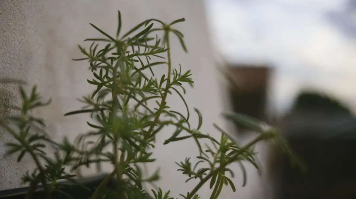 What Is Sanctification? How God Changes Believers Over Time
